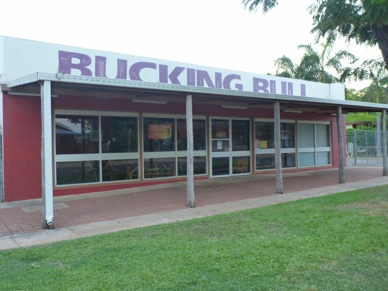 bucking bull outside