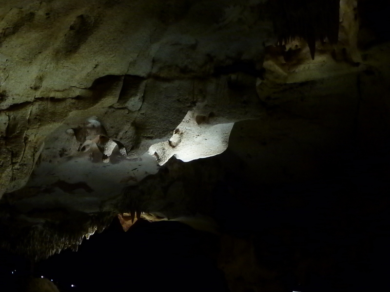 cutta cutta caves mr burns' head