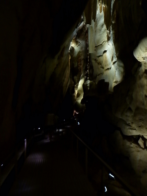 cutta cutta caves walkway