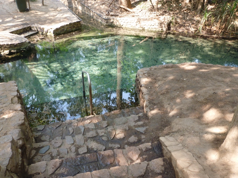 katherine hot springs main pool