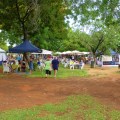 katherine markets