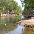 katherine river at galloping jacks