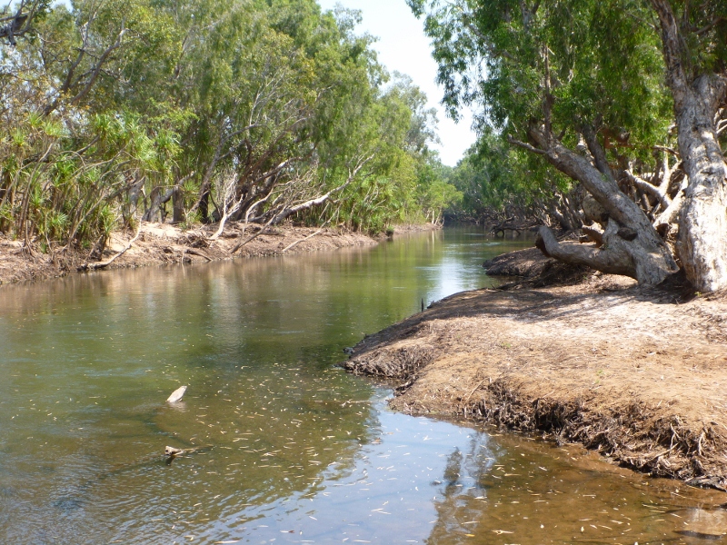 katherine river at galloping jacks