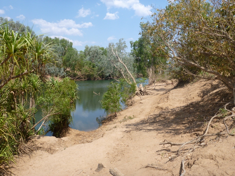 katherine river at springvale homestead