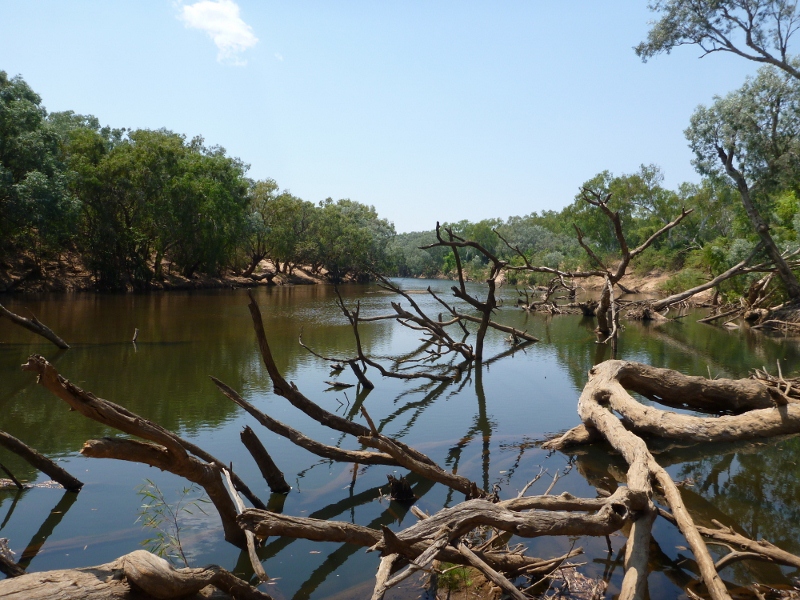 knotts crossing upstream