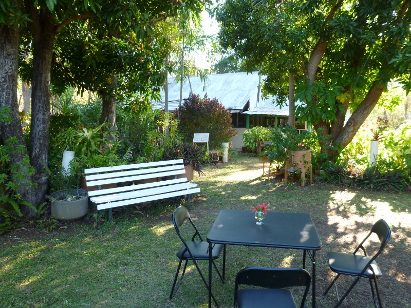 o'keeffe house garden