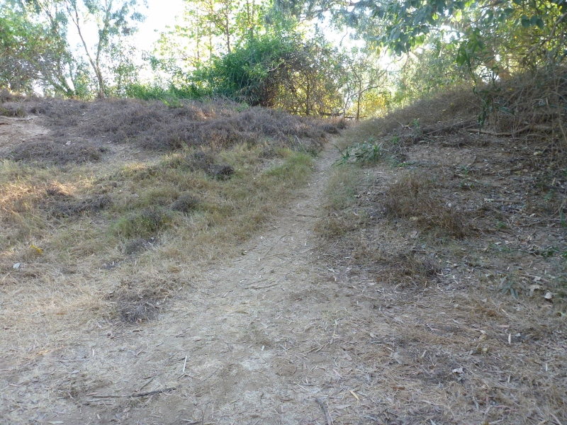 track near katherine hot springs