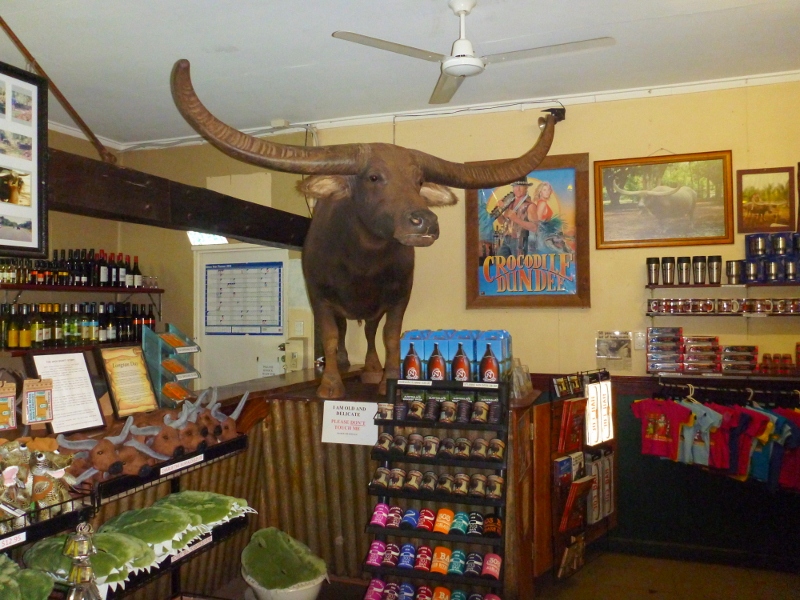 adelaide river inn buffalo