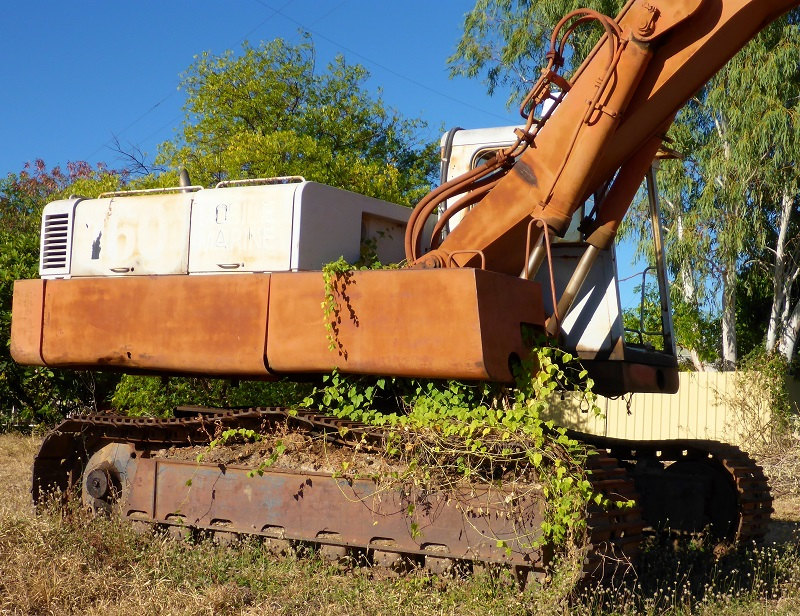 bush passionfruit on excavator