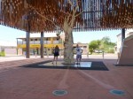 Barcaldine Tree of Knowledge