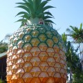big pineapple