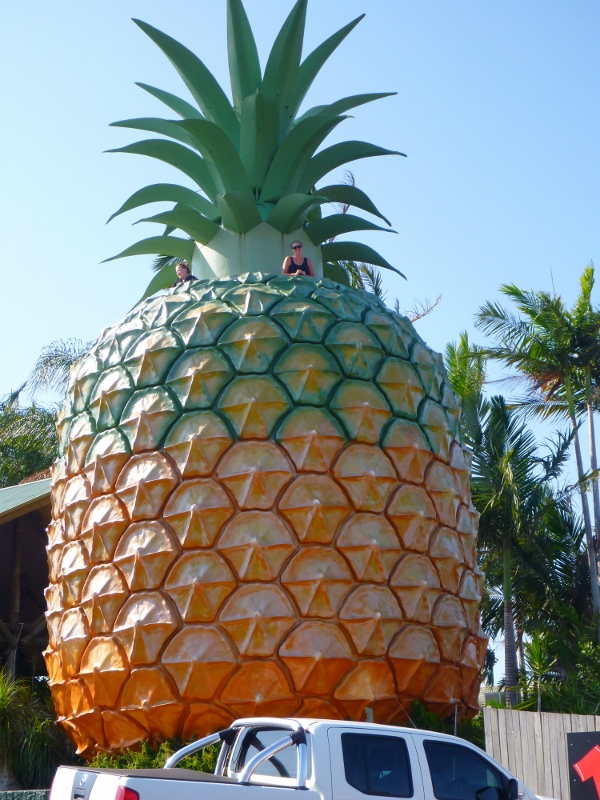 big pineapple
