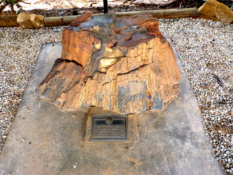 Blackall black stump