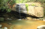 Buderim Forest Park
