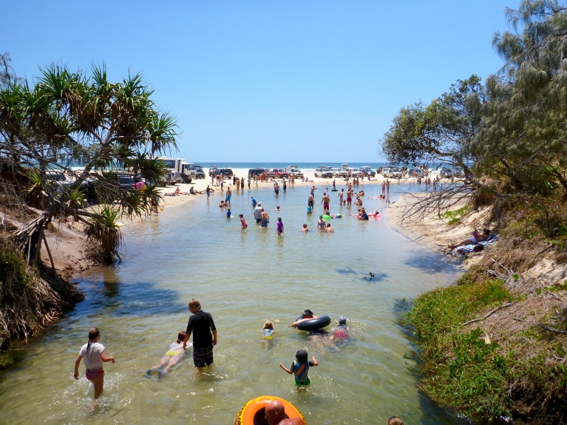 fraser island eli creek