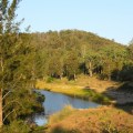 Little Yabby Creek camping area