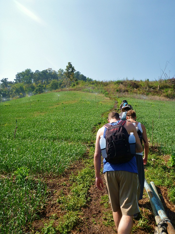 trekking through garlic fields