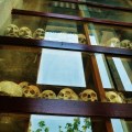 Phnom Penh Killing Fields