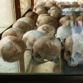 Phnom Penh Killing Fields