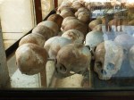 Phnom Penh Killing Fields