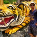 tiger near wat tham sua