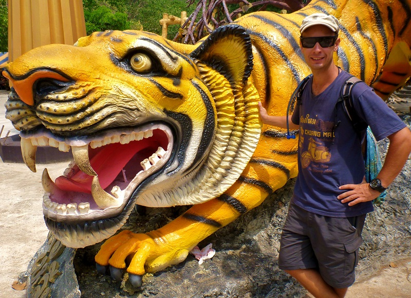 tiger near wat tham sua