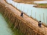 kampong cham bamboo bridge