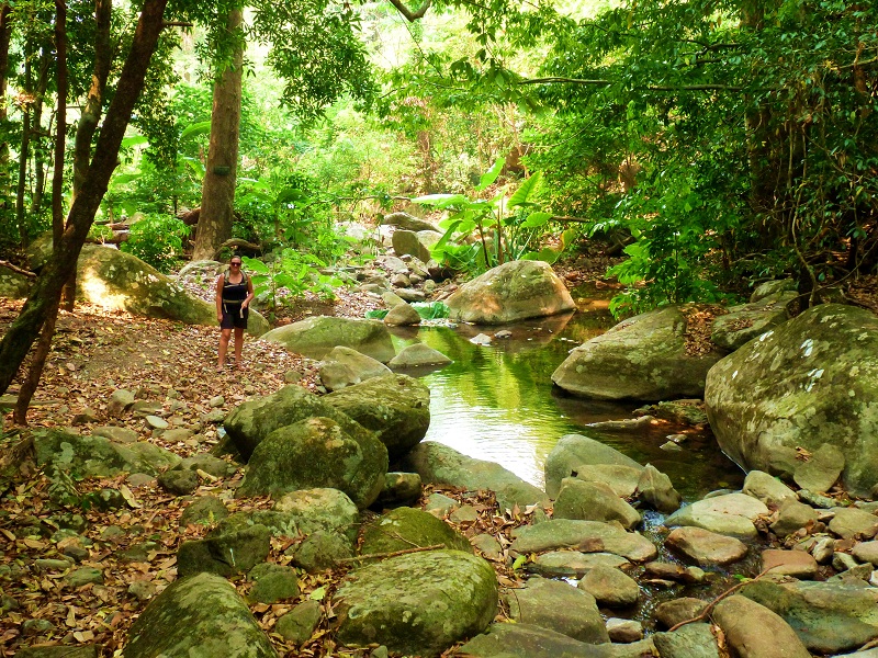 near waterfall on the loop