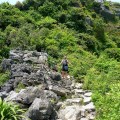 climbing up a limestone karst
