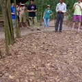 vietnam cu chi war tunnels