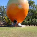 Big Mango Bowen QLD