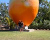 Big Mango Bowen QLD