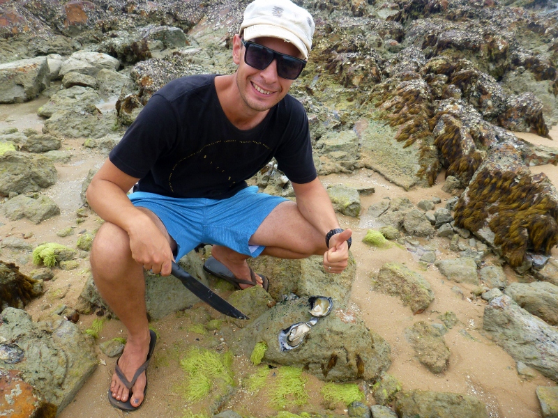 black lip oyster punsand bay
