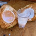 Coconut at Airlie Beach