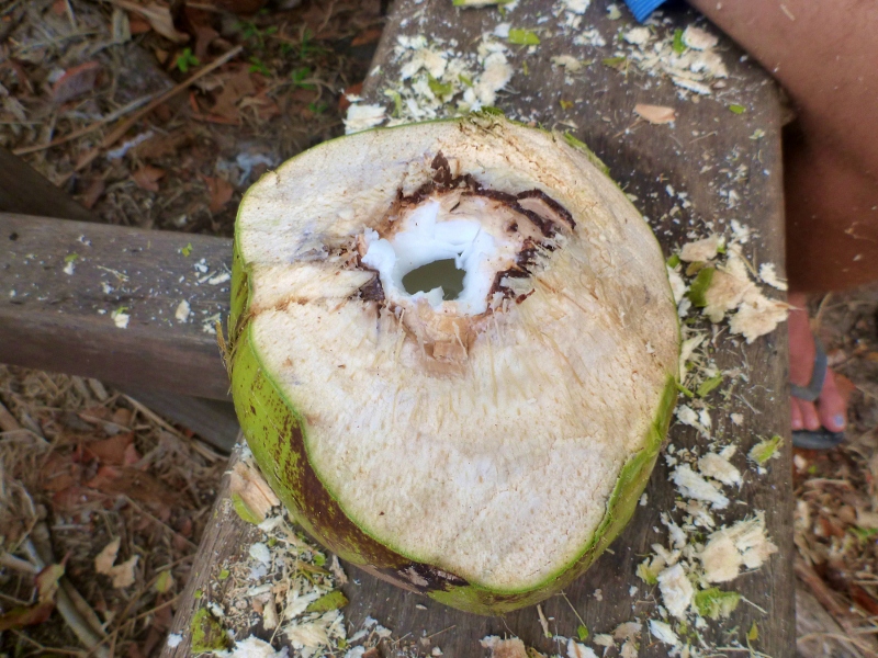 green coconut ready to drink