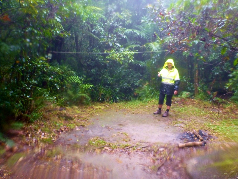 Mt Bartle Frere camp spot 1500m