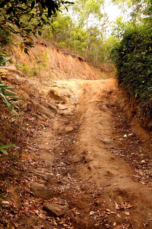 pascoe river track eastern side