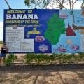 banana queensland