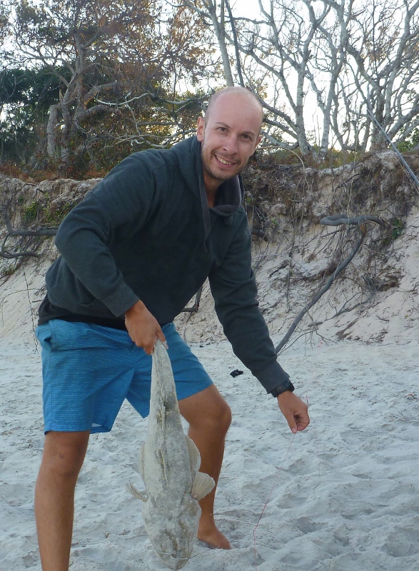 big flathead bribie island