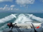 cruising towards great barrier reef