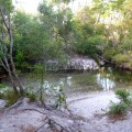 jackey jackey creek cape york