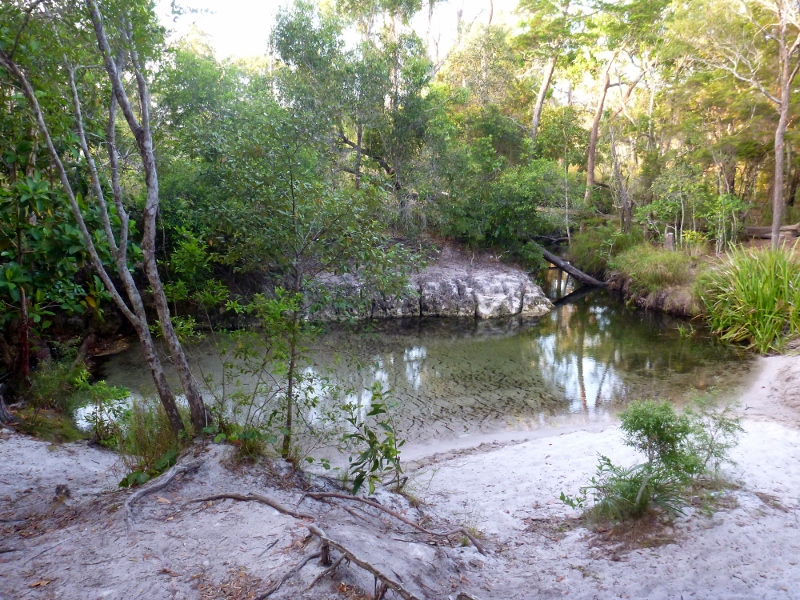 jackey jackey creek cape york
