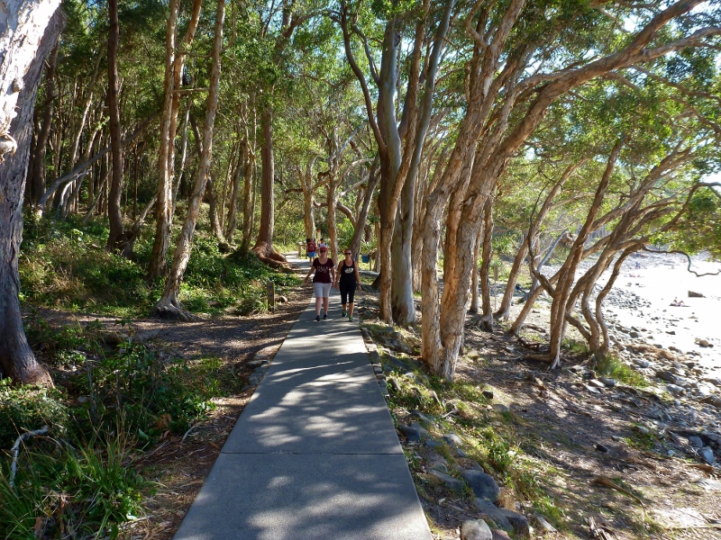 noosa national park coastal track