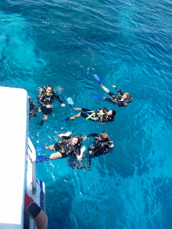 sharni diving great barrier reef