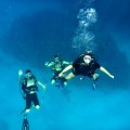 scuba diving cayman island