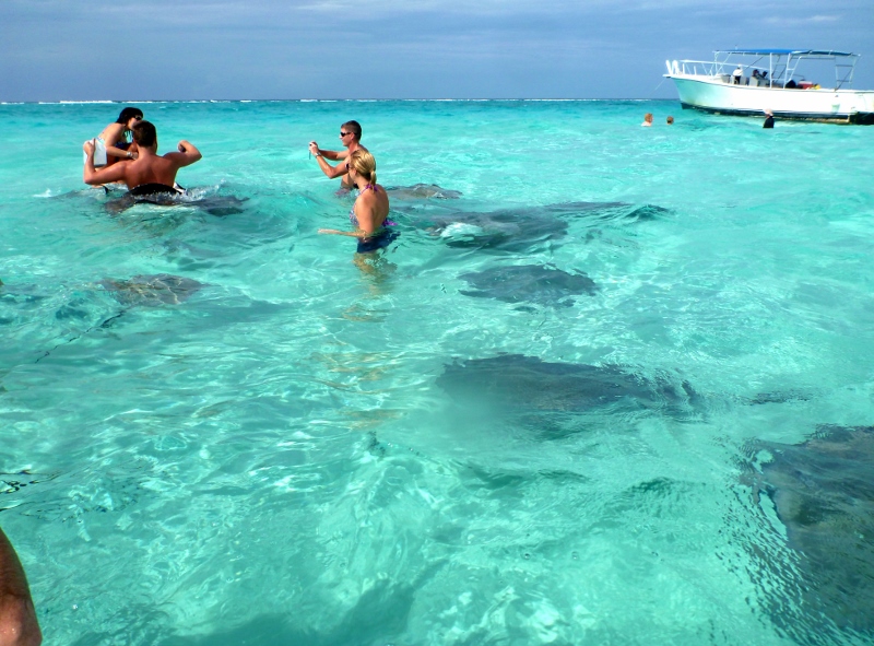 stingray city
