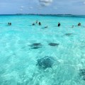 stingray city
