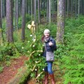 Dodgy Xmas Tree,  Lynn Canyon Park