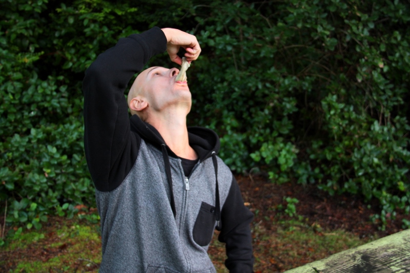 Hwy 101 Oregon Pacific Coast Oysters (2)