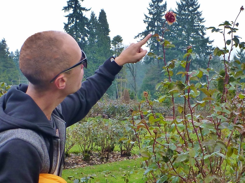 Joe admiring Portland’s famous Rose Gardens